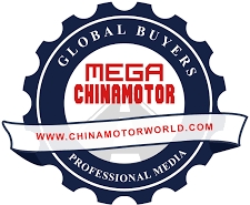 MegaChinamotor.225