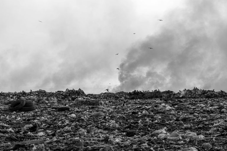 Clark Waste Crisis: Was the Experienced Solution Sidelined?