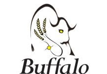 Buffalo Potash Announces Preliminary Economic Assessment for Disley Project with After-Tax NPV of US$1.1B and IRR of 30%; Releases Results from Maiden 43-101 Mineral Resource Estimate